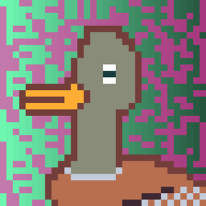 Duck-#153