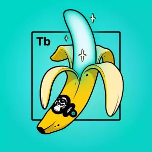 Experimental Banana 01596