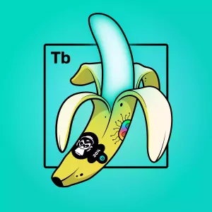 Experimental Banana 03206