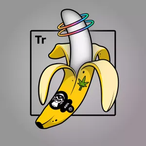 Experimental Banana 02284