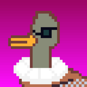 Duck-#20