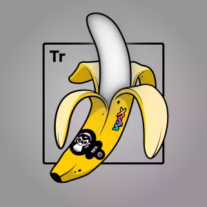 Experimental Banana 02605