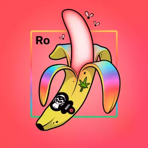 Experimental Banana 05573