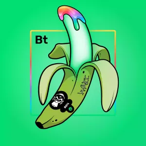 Experimental Banana 05693