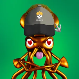 Mr. Squid 251