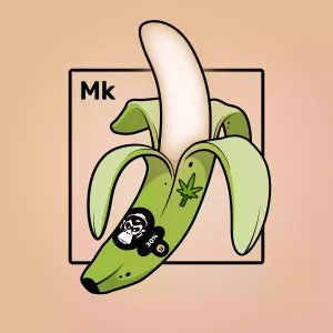 Experimental Banana 00540