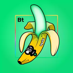 Experimental Banana 00344