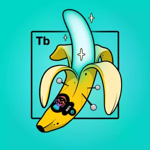 Experimental Banana 01486