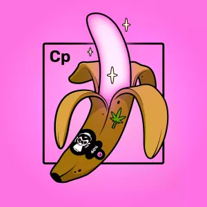 Experimental Banana 07594