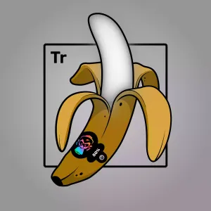 Experimental Banana 00535