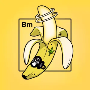 Experimental Banana 08659