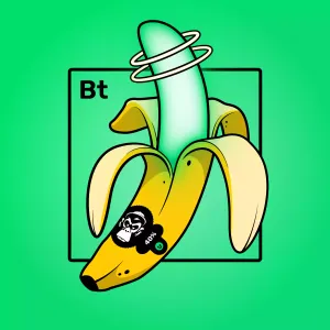 Experimental Banana 02424