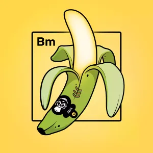 Experimental Banana 04268