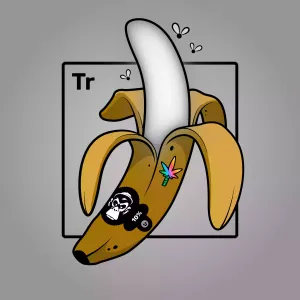 Experimental Banana 05579