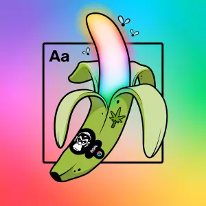 Experimental Banana 04450