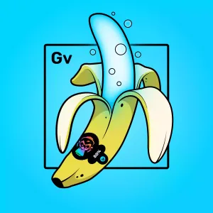 Experimental Banana 02369