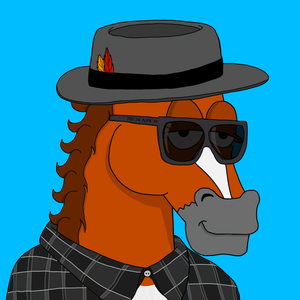 MR CHUMMY 🐴 058