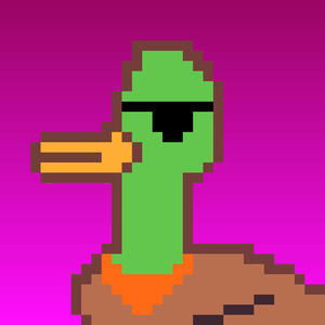 Duck-#181