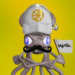 Mr. Squid 650