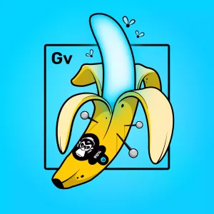 Experimental Banana 03178