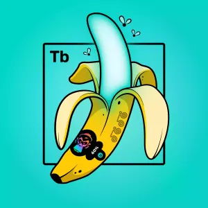 Experimental Banana 08619