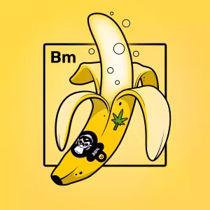 Experimental Banana 05554