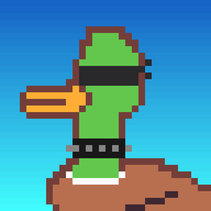 Duck-#102