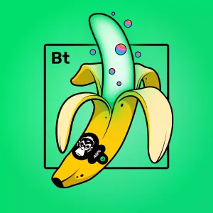 Experimental Banana 04350