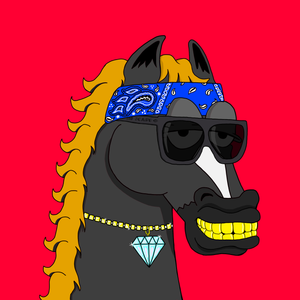 MR CHUMMY 🐴 068