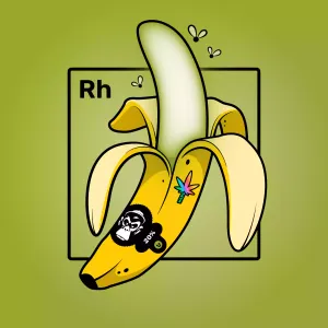 Experimental Banana 00705