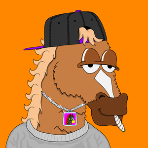 MR CHUMMY 🐴 115