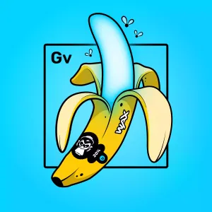 Experimental Banana 01261