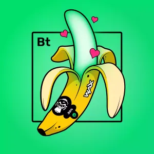 Experimental Banana 05237