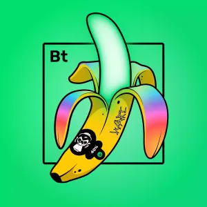 Experimental Banana 08623