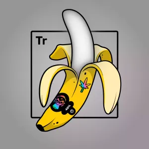 Experimental Banana 02030