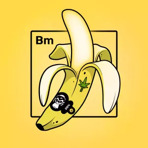 Experimental Banana 09021