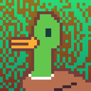 Duck-#341