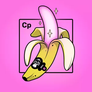 Experimental Banana 02381