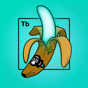 Experimental Banana 03751