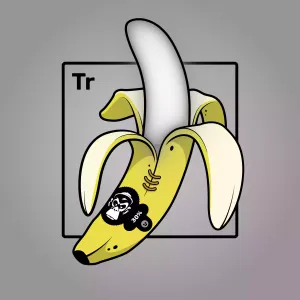 Experimental Banana 04673