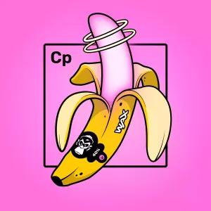 Experimental Banana 00573