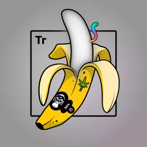 Experimental Banana 04890