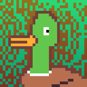 Duck-#313