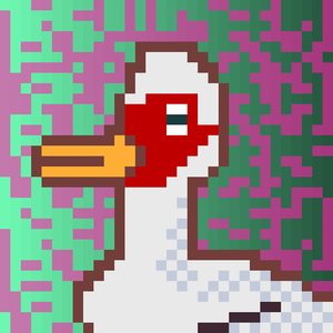 Duck-#155