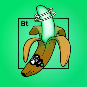 Experimental Banana 00658