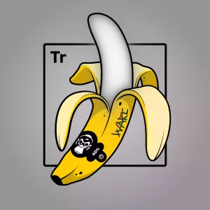 Experimental Banana 00244