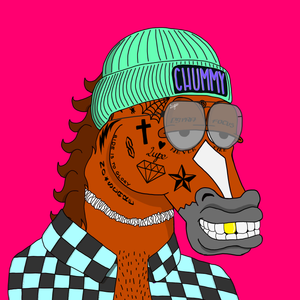 MR CHUMMY 🐴 066
