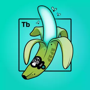 Experimental Banana 05549