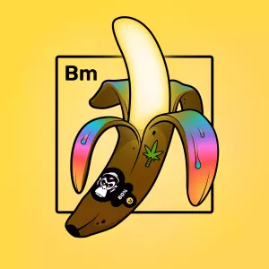 Experimental Banana 02234