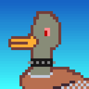 Duck-#36